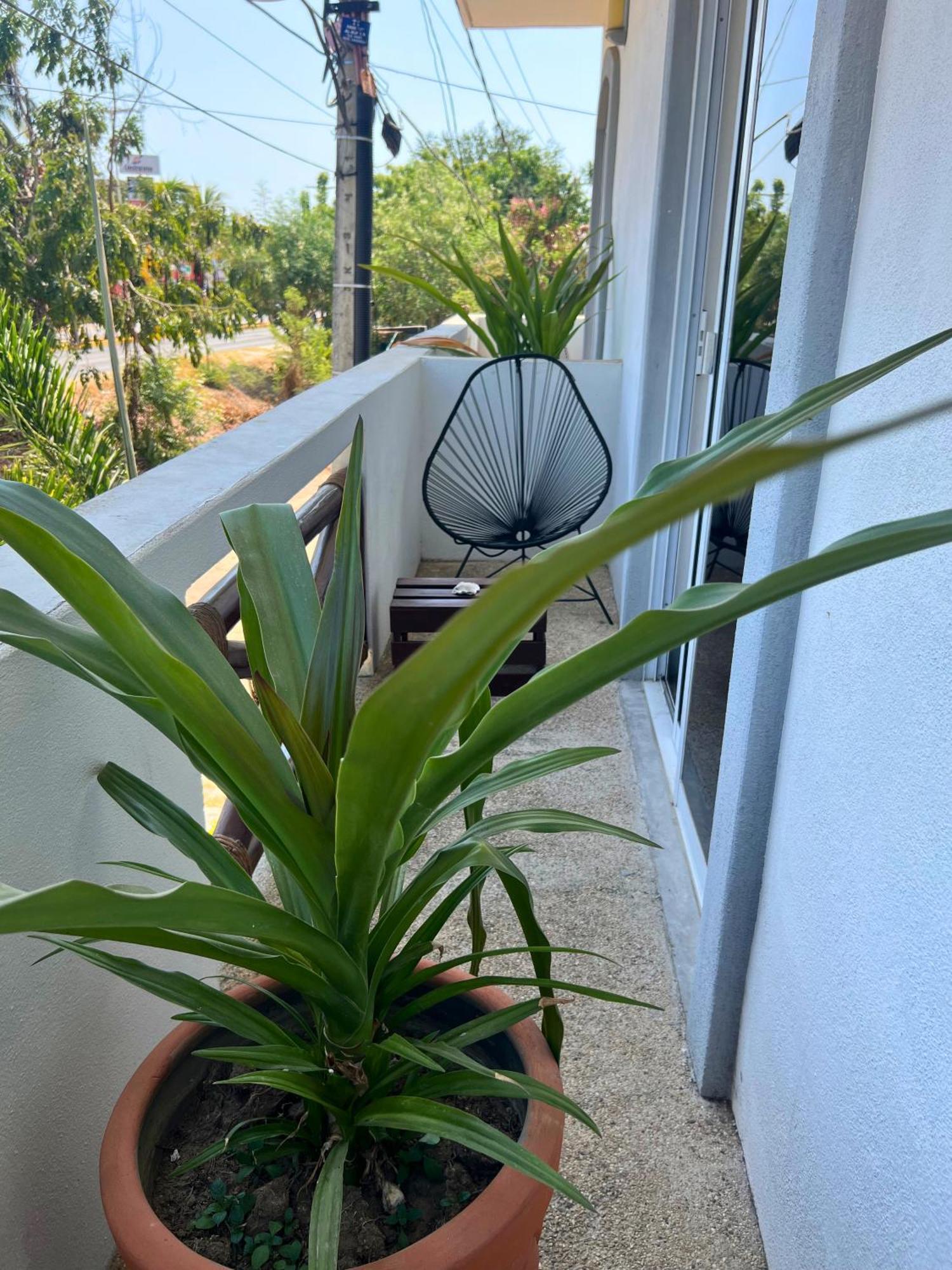 Casa Losodeli - Solo Adultos * Puerto Escondido (Oaxaca)